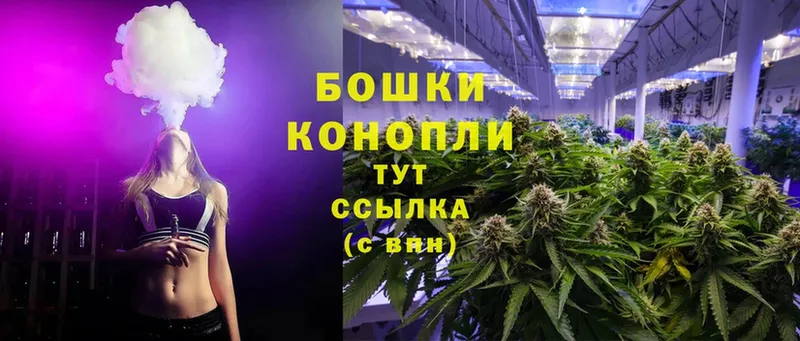 Шишки марихуана Ganja  Елабуга 